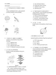 Kaktus ini berbeda dengan kaktus lainnya karena kebanyakan tanaman kaktus lain yang sangat identik dengan duri, tanaman kaktus jenis ini justru tidak memiliki duri sama sekali. è€ƒå·