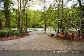 Audra state park campground site map. Audra State Park Campsite Photos Camping Info Reservations