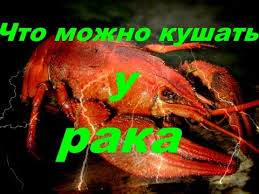 Chto Mozhno Kushat U Raka Dnevnik Rybolova Youtube