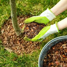 Gibt es irgendwelche tips von eurer seite, wie ich die amseln von meinem garten abhalten kann (und ihnen dabei aber nicht schade, die variante mit dem luftdruckgewehr scheidet also aus *g* ). Rindenmulch Darauf Mussen Sie Achten Und Das Kann Der Dunger