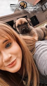 Looking 4 guard dogs budget is 5k.inbox me