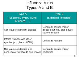 Seasonal Influenza And Pandemic Influenza A H1n1 H5n1 Virus Dr Alaa Kuttar Musa Department Of Medicine College Of Medicine Basra University Ppt Download