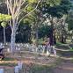 “Friends of Shoreham” bushland gathering  — event image