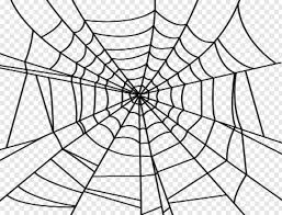 Spiderman Web Spider Man Web Transparent Hd Png Download 425x325 1983062 Png Image Pngjoy Hd wallpapers and background images. spider man web transparent hd png