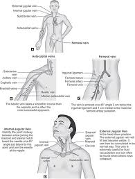Superior, middle and inferior ligaments, connect the glenoid to the anatomical neck of the humerus an. Jaypeedigital Ebook Reader