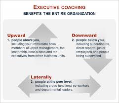 Executive Skills Coaching Leadership Training Development