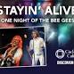 Stayin’ Alive – One Night of the Bee Gees