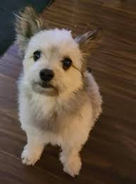 CALAIS Route barrée quai Lucien L'heureux Mia