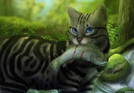 zhivotnye koty ryby avatary kartinki avy https avatarko ru kartinka 12824 koshki voiny vojna koshki