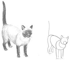 See more ideas about drawing tutorial, drawings, drawing techniques. Guide To Drawing Cats Kittens With Step By Step Instructional Tutorial Lesson How To Draw Step By Step Drawing Tutorials