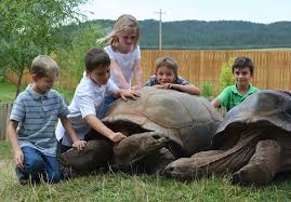 Some of the most popular types of these activities include. 12 Spots In And Around Rapid City Your Kids Are Going To Love