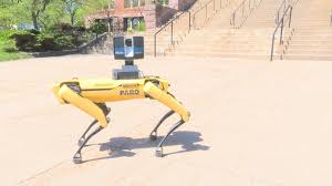 A not so ordinary dog: Meet Spot the robot dog