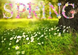 First Day of Spring 2020: Celebrate an Early Spring Equinox | The ...
