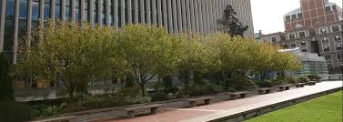 Building Services Law School Services