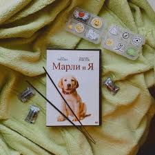 vselenskoe chudo anzhelika v instagram top 5 filmov pro sobak kotorye zastavyat vas peresmotret svoi vzglyady na lyubimcev eto moj lichnyj top filmy kot