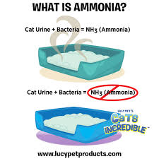 Ammonia The Source Of That Pungent Smell Is A Reaction Between Your Cat S Urine And Bacteria Cats Incredible Is The Litter Cat Urine Cat Grooming Fisher Cat