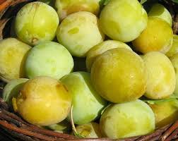 Reneklode Edel Pflaume Pflaume Lecker