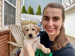 Metropolitan Dog, Potomac, MD 20854, US