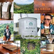 The tour is super informative especially if you from outside costa rica. Hacienda Alsacia Halsacia Twitter