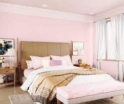 Our range let's you pick the best for your garden for the best prices at b&m. Try Tinge Of Mauve House Paint Colour Shades For Walls Asian Paints