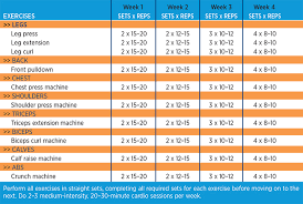 The Ultimate Gym Beginner's Workout Plan | Muscle & Fitness