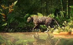 Jaguar At Planet Zoo Nexus Mods And Community Planet Zoo Planet Zoo Game Zoo