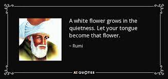 We did not find results for: Top 15 White Flowers Quotes A Z Quotes