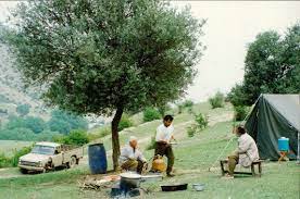 Trailer of through the olive trees by abbas kiarostami. Through The Olive Trees 1994 Imdb