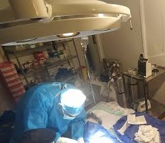 گالری جراحی های آدورینا | کلینیک آدورینا