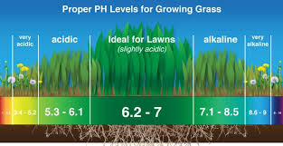 Phyrexia had tried to take urza's soul. Diy Soil Ph Meter Using Soil Ph Sensor And Arduino