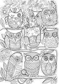 Explore 623989 free printable coloring pages you can use our amazing online tool to color and edit the following cute cartoon owl coloring pages. Branches Of Owls They Need A Bit Of Color Owl Coloring Pages Coloring Pages Animal Coloring Pages