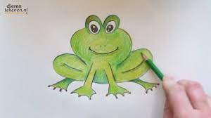 Dieren Tekenen Kikker How To Draw A Frog Youtube