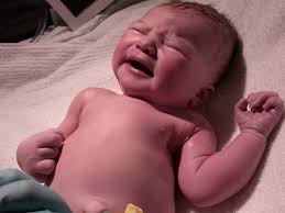 Andrew, Holly, and Ava