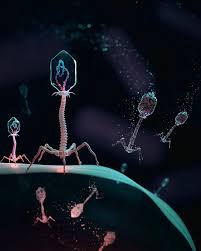 نتیجه جستجوی لغت [infect] در گوگل