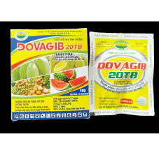 Dovagib 20TB