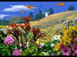 Resultat De Recherche D Images Pour صورة عن فصل الربيع Screen Savers Nature Butterfly Garden