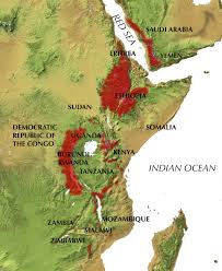 Image result for Cincinnobotrys