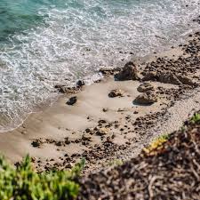 Best Beaches in Malibu: A Beach-Hopper's Guide to Malibu