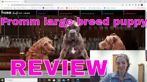 Interested in buying a puppy? Food Review From Large Breed Puppy Does It Make The Cut Youtube