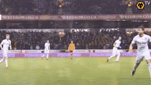 Find gifs with the latest and newest hashtags! Best Wolverhampton Wanderers Fc Gifs Gfycat