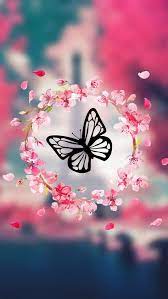 Mail Sally Yehia Outlook Flower Phone Wallpaper Butterfly Wallpaper Backgrounds Butterfly Wallpaper