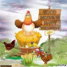 For god is my defence. 25 Good Morning Wednesday Pictures