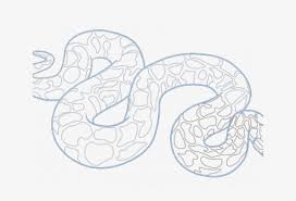 Learn how to draw snake pictures using these outlines or print just for coloring. Drawn Snake Python Drawing 640x480 Png Download Pngkit