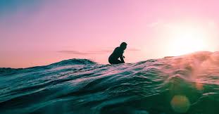 Surf accounts and receipt bank are excellent software tools that allow you to do real time accounting. Cliff Surf House Enjoy The Best Surf Holidays In Portugal Santa Cruz