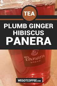 We did not find results for: Plumb Ginger Hibiscus Tea At Panera Bread Hibiscus Tea Panera Plum Ginger Hibiscus Tea