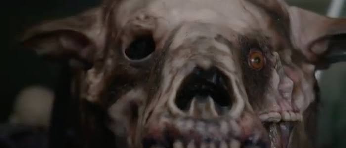 Exclusive 'Annihilation' Behind-The-Scenes Video Reveals How That  Horrifying Bear-Creature Came To Be