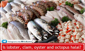 Eating lobster, clam, oyster and octopus is haram. Is Lobster Clam Oyster And Octopus Halal Followers Of The Wilayah