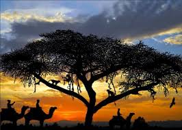 Free for commercial use no attribution required high quality images. African Sunset Sunsets Nature Background Wallpapers On Desktop Nexus Image 1415120