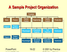 25 Specific Project Organisation Structure Example