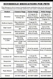 Human Meds Vet Approved Before Giving Your Dog Medications